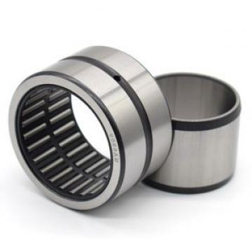 High Precision High Quality Hot Sale SKF Needle Roller Bearing Nkis 25 Nkib 5909 with Inner Ring