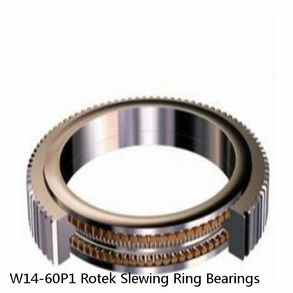 W14-60P1 Rotek Slewing Ring Bearings