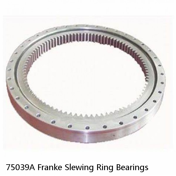 75039A Franke Slewing Ring Bearings