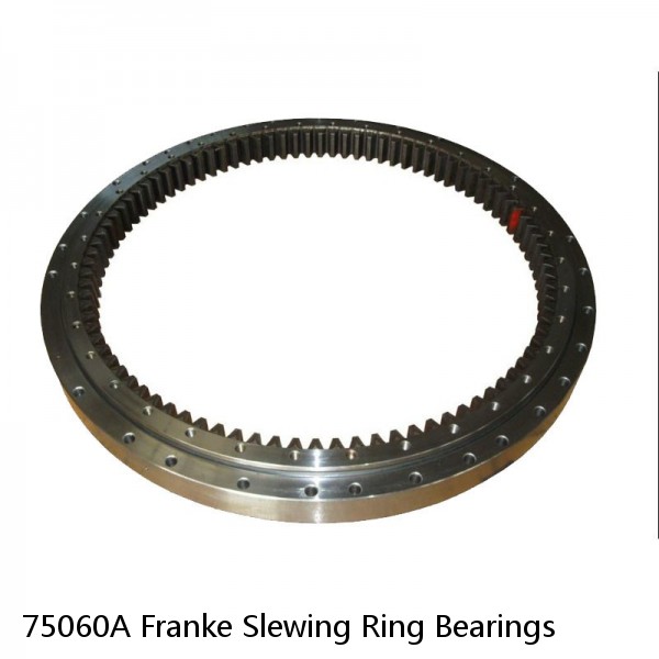 75060A Franke Slewing Ring Bearings