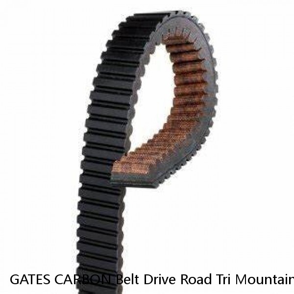 GATES CARBON Belt Drive Road Tri Mountain Commute Race Bike Frame Sticker Decal