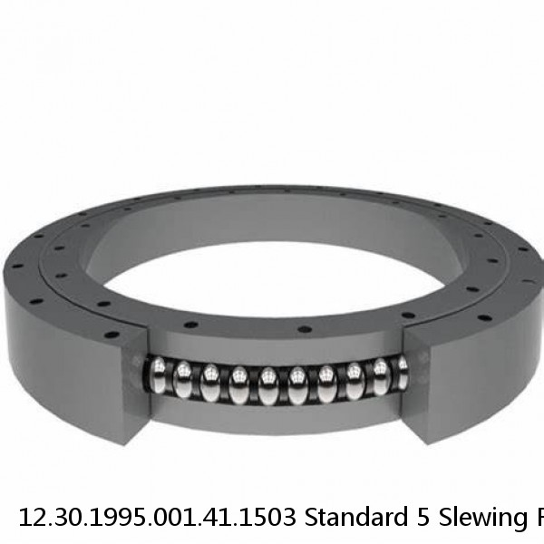 12.30.1995.001.41.1503 Standard 5 Slewing Ring Bearings