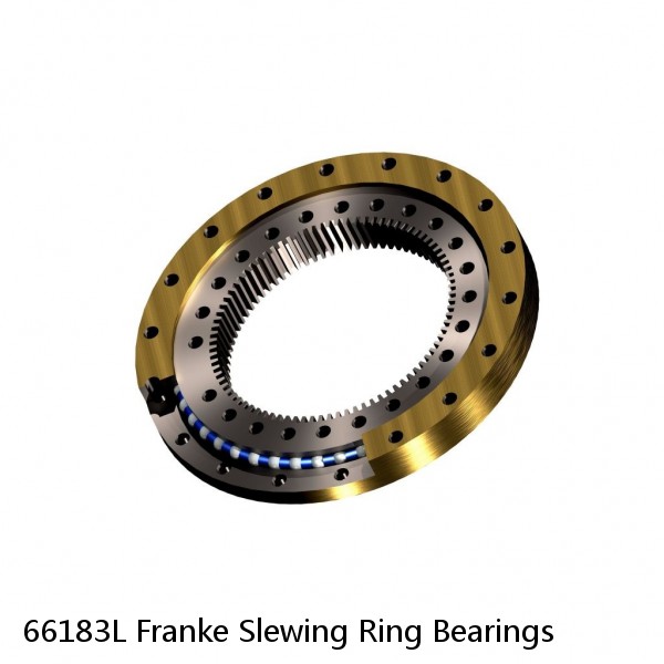 66183L Franke Slewing Ring Bearings