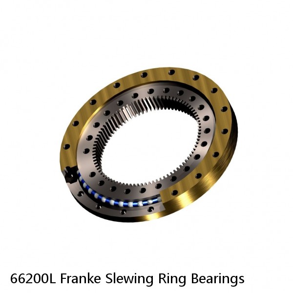 66200L Franke Slewing Ring Bearings