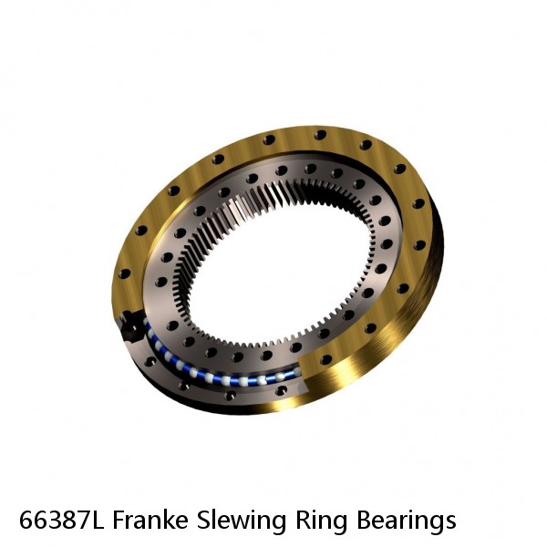 66387L Franke Slewing Ring Bearings