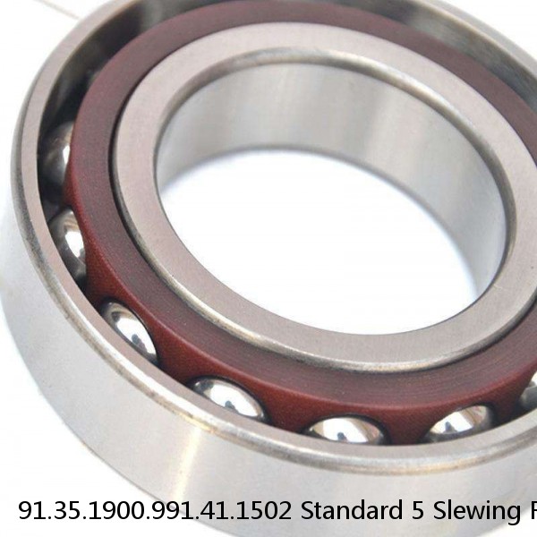 91.35.1900.991.41.1502 Standard 5 Slewing Ring Bearings